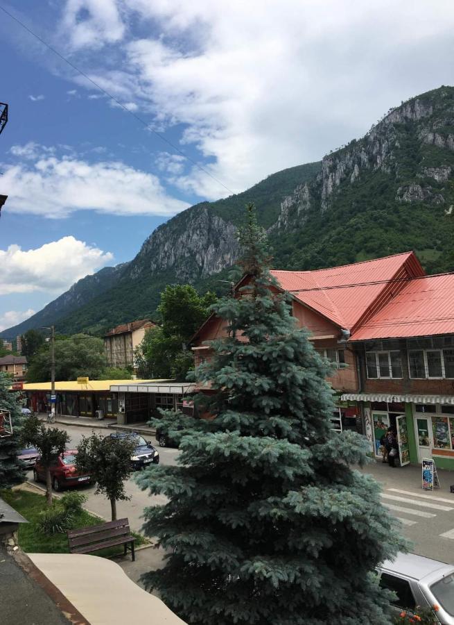 Apartament Sofy2 Байле Херкулане Екстериор снимка