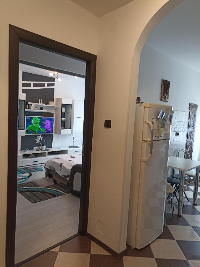 Apartament Sofy2 Байле Херкулане Екстериор снимка