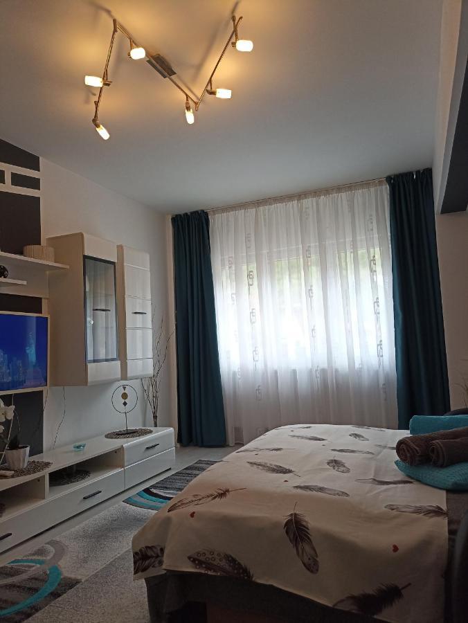 Apartament Sofy2 Байле Херкулане Екстериор снимка