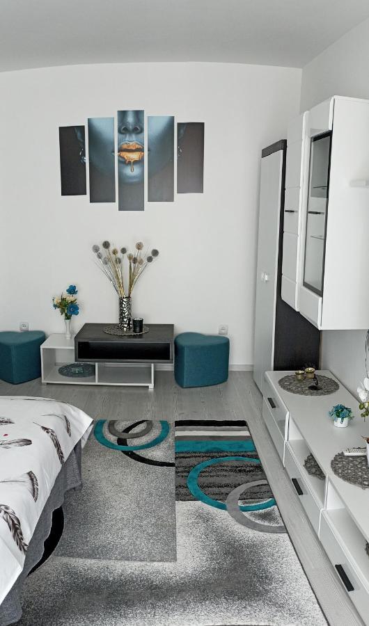 Apartament Sofy2 Байле Херкулане Екстериор снимка