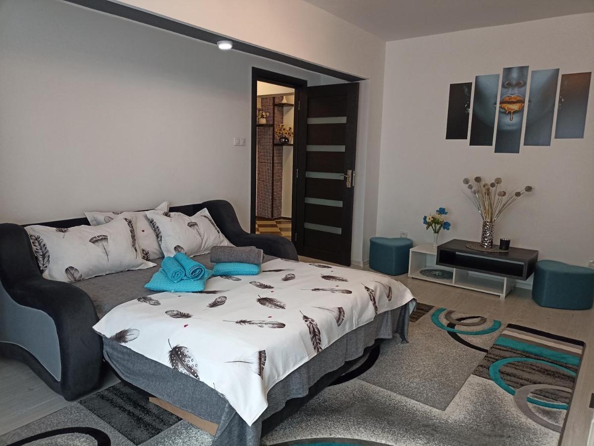Apartament Sofy2 Байле Херкулане Екстериор снимка